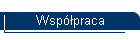 Wsp�praca